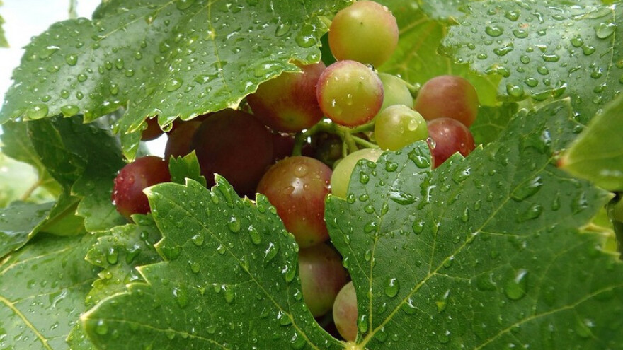 Stižu pljuskovi, grmljavina i vjetar