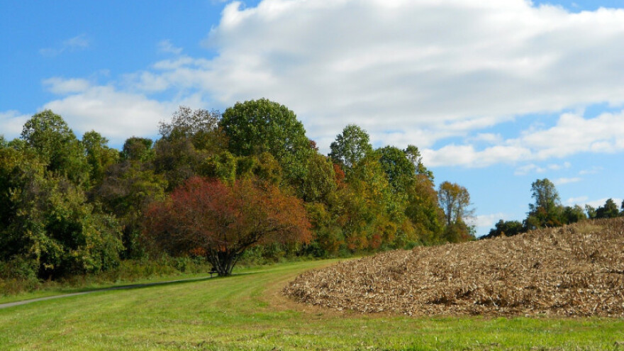 Mogući slabiji mrazevi, ali i sve više sunca