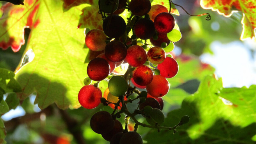 Savršeno bablje ljeto u oktobru