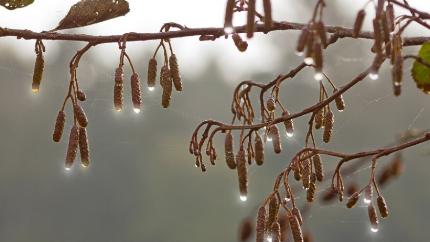 Za vikend oblačno s mjestimičnim padavinama