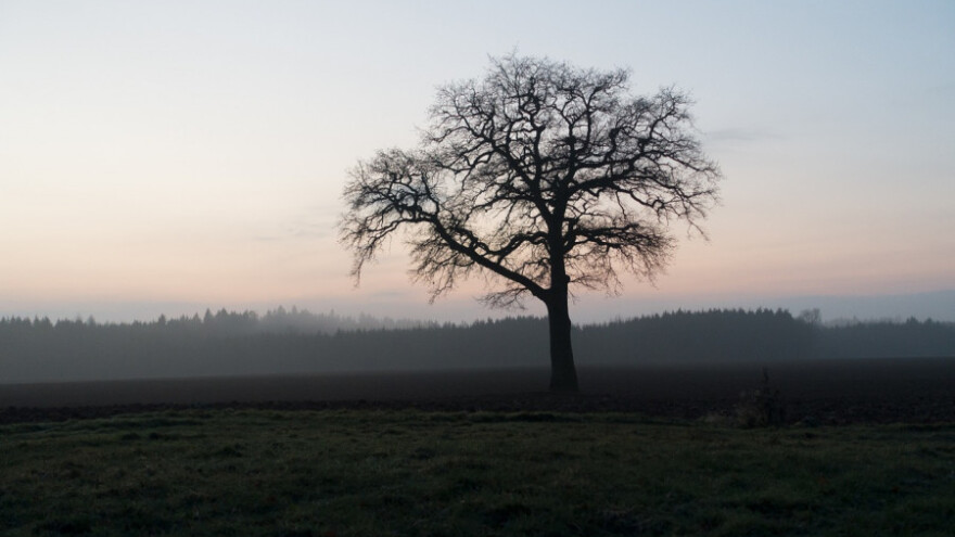 Padavine za vikend, u ponedjeljak promjena vremena