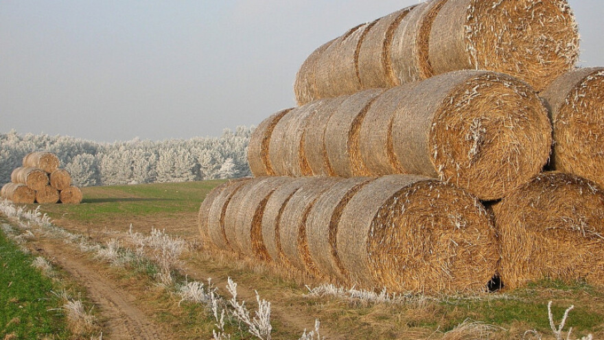 Osjetno hladnije, povoljno za ozimine