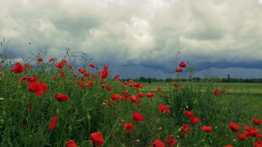 Nestabilno vrijeme sa grmljavinom i pljuskovima