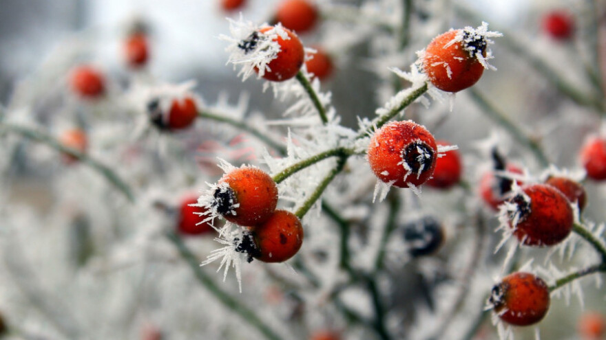 Oblaci, mraz, snijeg - stiže decembar