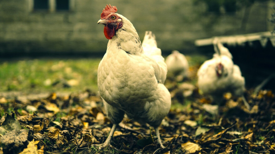 Od srijede do vikenda stabilno, a onda...