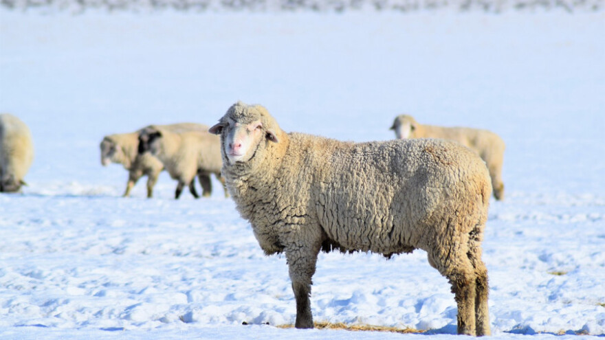 Kiša, snijeg, kiša i još kiše