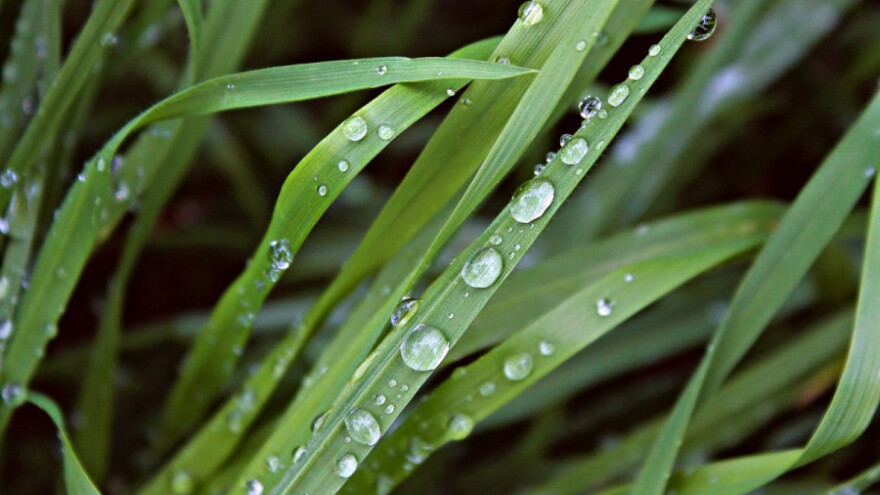 Moguća fizička oštećenja kultura zbog jakog vjetra