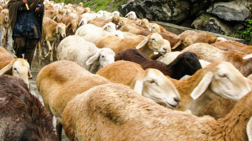 Kiša, susnježica i snijeg za vikend