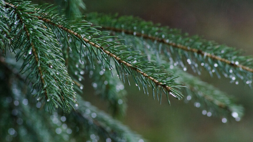 Staru će ispratiti sunce, a Novu godinu dočekati kiša