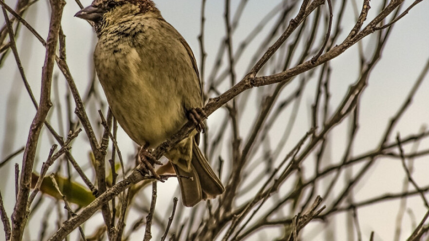 Temperature i dalje iznad prosjeka