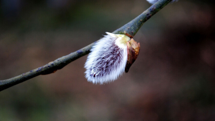 Idućih dana do 15°C stupnjeva