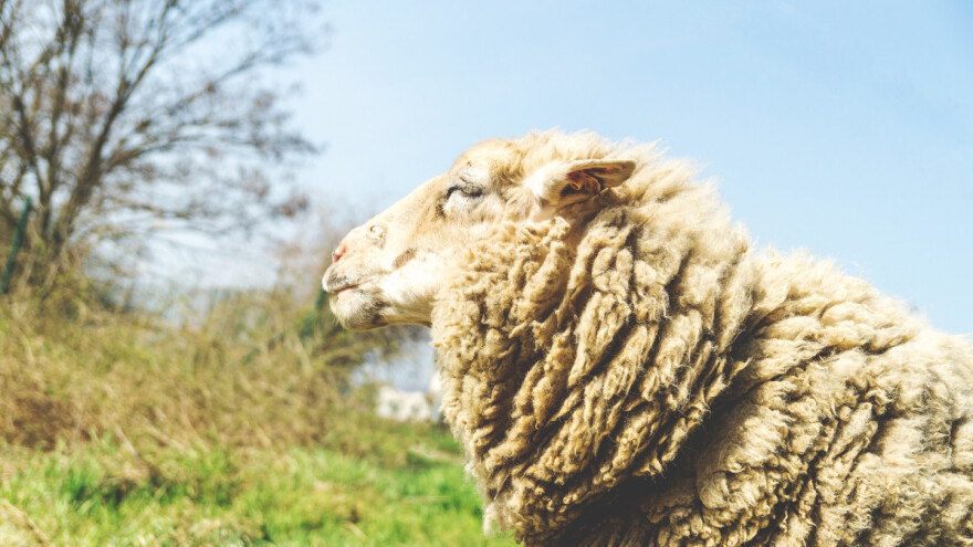 Natprosječno toplo - neznatno hladnije za vikend