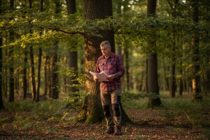 Program gospodarenja za šumoposjednike!