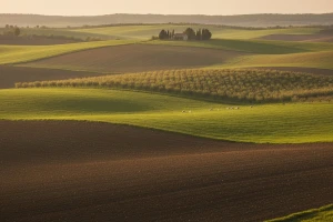 Program raspolaganja poljoprivrednim zemljištem