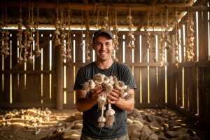 Proizveli 2,5 tona češnjaka