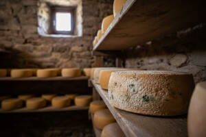 Proizvođače sira očekuju novi propisi?