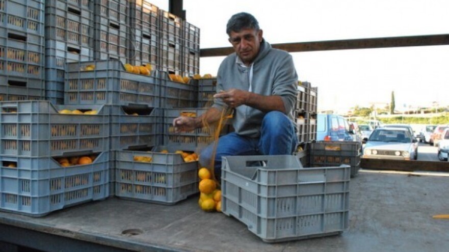 Mandarine umjesto zarade donijele štetu