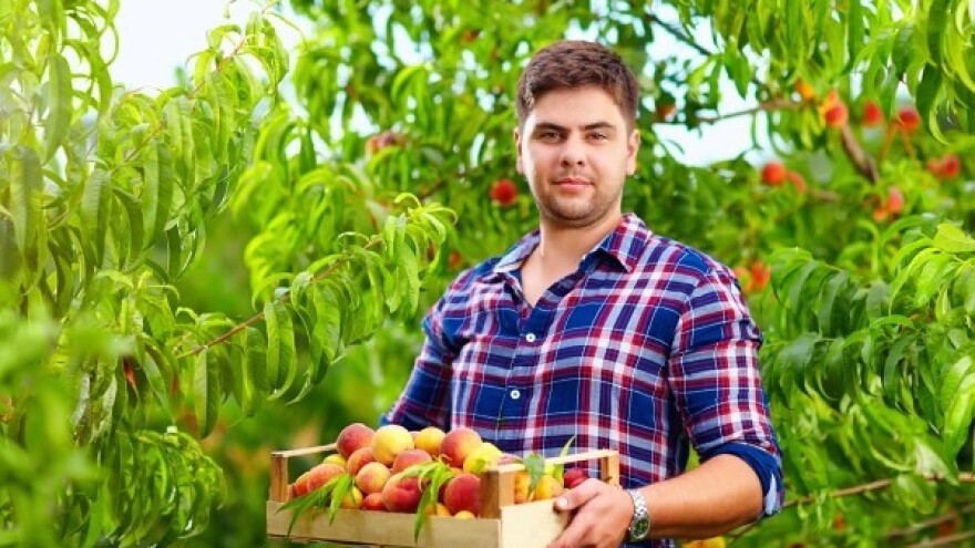 EU: Mjere potpore za sektor breskve i nektarine!