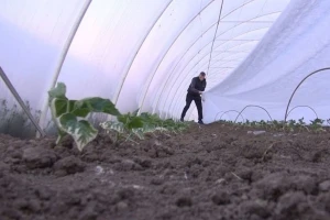 Za podršku agraru obezbjeđeno još 9 miliona KM