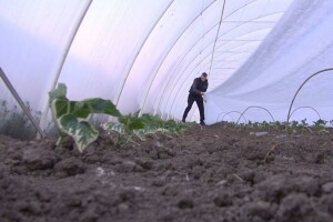 Za podršku agraru obezbjeđeno još 9 miliona KM
