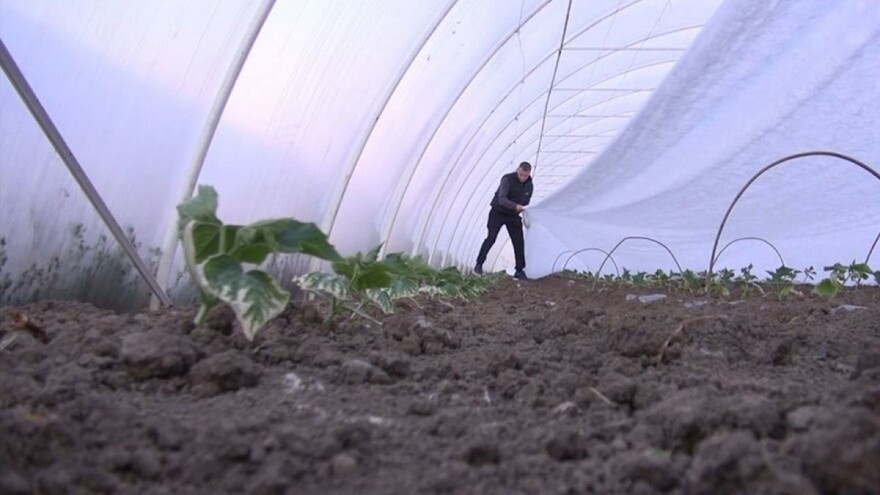 Za podršku agraru obezbjeđeno još 9 miliona KM