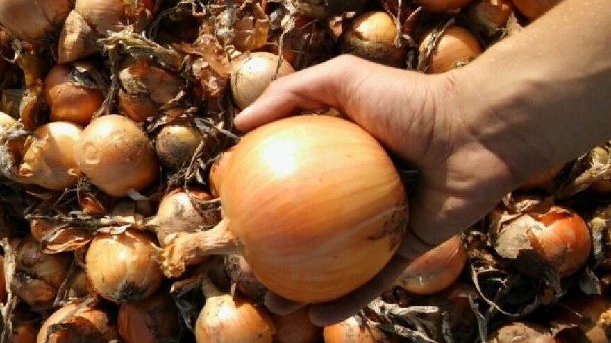 Kvalitetom eliminišu konkurenciju