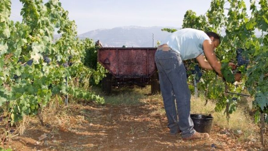 Bolja sezona od prošlogodišnje!