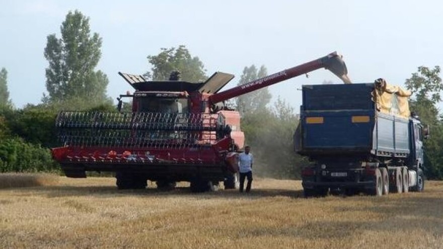 Proizvodnja hrane privlači Kineze i Arape