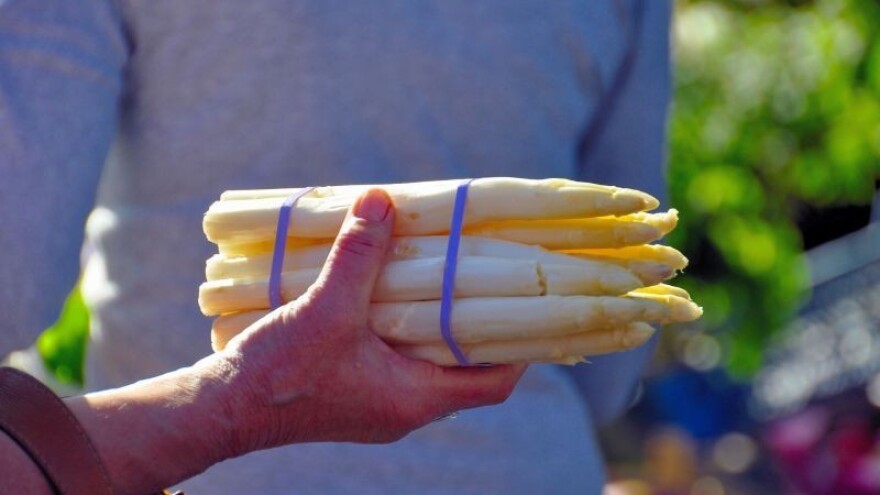 Koja pravila trebate poštovati ako radite s hranom?