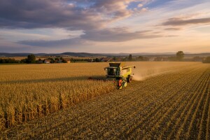 Proizvodnja kukuruza povećana 73 posto