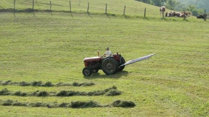 Livade - temelj organske proizvodnje sira i kajmaka