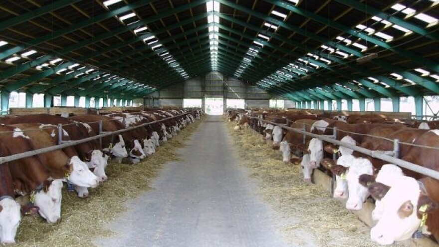 Kako unaprijediti stočarstvo BiH?