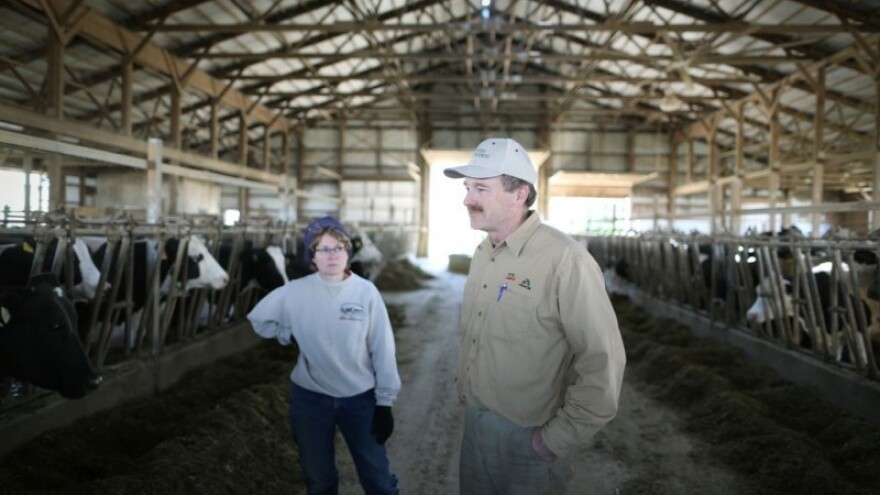 Rusija će postati neovisna o uvozu mesa iz EU?