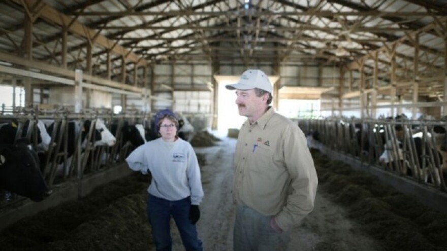 Rusija ulaže u razvoj stočarstva!