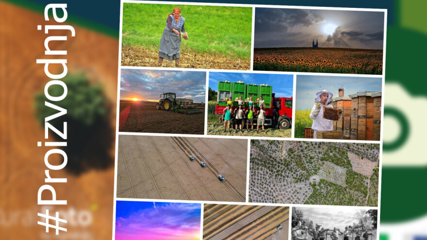 RuralFoto - ovo je TOP 10 fotografija iz kategorije #proizvodnja