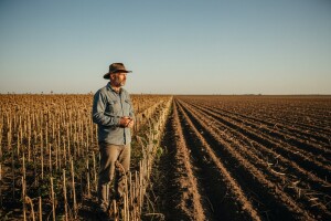 Proizvodnja ove godine i planovi za narednu