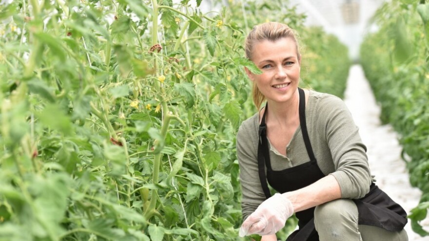 EU 2015. proizvela najviše jabuke i rajčice
