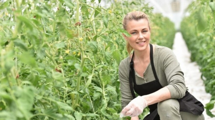 EU u 2015. proizvela najviše jabuke i paradajza