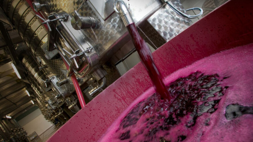 Loša godina, proizvodnja vina manja za 5%