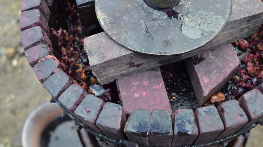 Svjetska proizvodnja vina opala za 8,2%