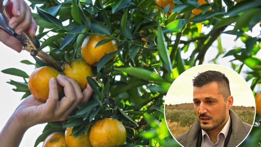 Trgovanje ugljenikom: U komšiluku sprovode jedinstveni projekat za održivu proizvodnju hrane