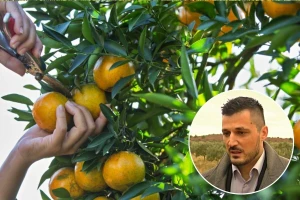 Trgovanje ugljikom: Susjedi provode jedinstveni projekt za održivu proizvodnju hrane