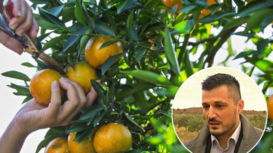 Trgovanje ugljikom: Hrvatska provodi jedinstveni projekt za održivu proizvodnju hrane