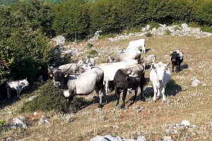 Brisanje parcela iz ARKOD-a treba stopirati