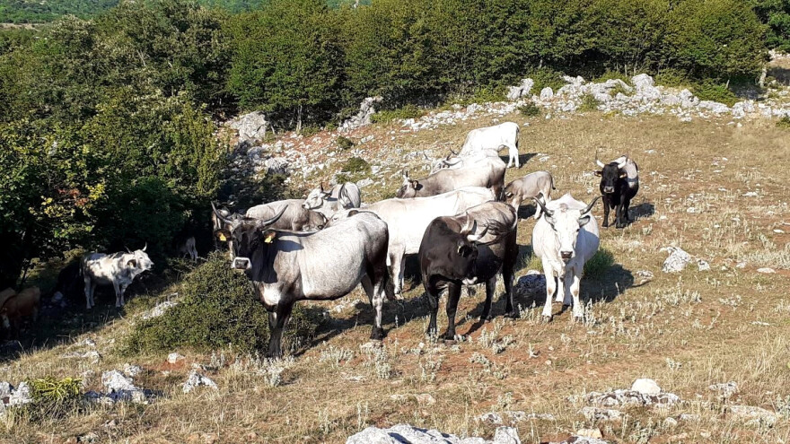 Brisanje parcela iz ARKOD-a treba stopirati