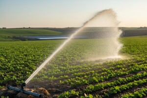 Projekt navodnjavanja bjelovarsko - bilogorskih polja