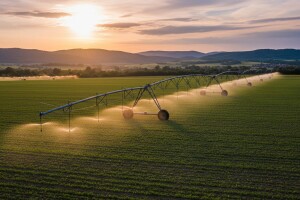 Projekt požeškog sustava navodnjavanja