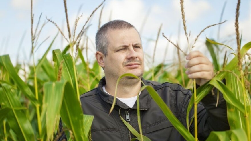 Kako uspješno napisati i prijaviti EU projekt