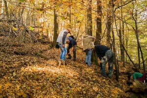 Odobreno 280 milijuna eura za projekte u području okoliša, prirode i klime