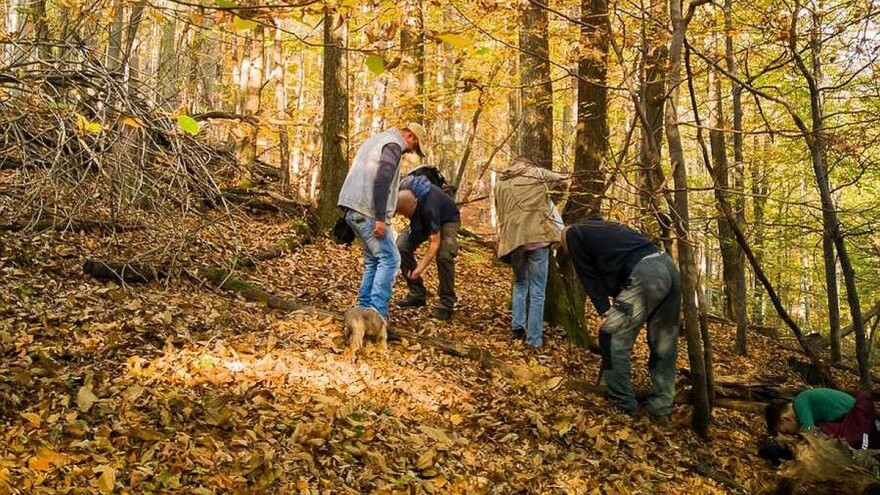 Odobreno 280 milijuna eura za projekte u području okoliša, prirode i klime